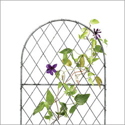 Trellis - Products