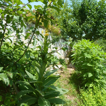 giardino di campagna