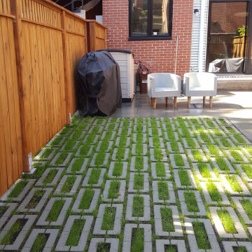 Intimate City Patio Court Garden