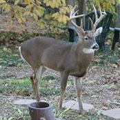 Ruthie Middleton's photo