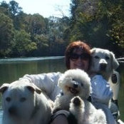Jeanne Johnson's photo