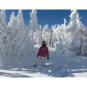 Gina Powser's photo