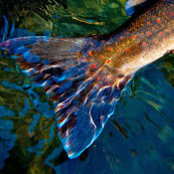David Serres's photo