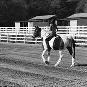 Amanda Salameh's photo