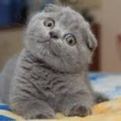 Maureen Dauwalder's photo