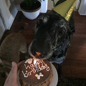 Jennifer Lynn Brugger's photo