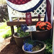 Lisa Austin Sears's photo