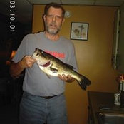 Stephen Holmes's photo