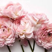 Banan Rayes's photo