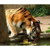 Michelle Orenick's photo