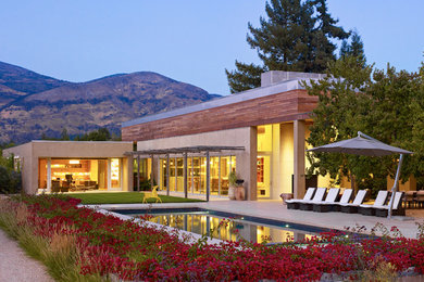 Pool - contemporary rectangular lap pool idea in San Francisco