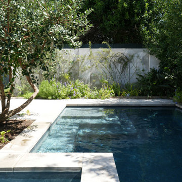 Webster Street | Shaded Pool Garden and Flowering Trellis