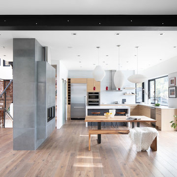 Dining Room/Kitchen/Fireplace