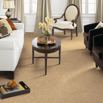 Shaw Carpet