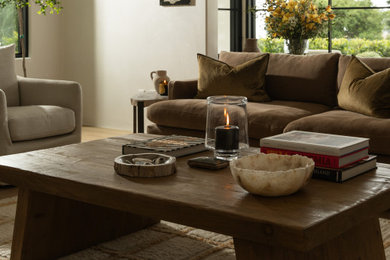 Living room - transitional living room idea
