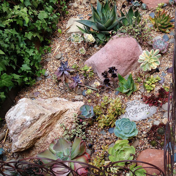 Meditative Healing Garden- Laurel Canyon