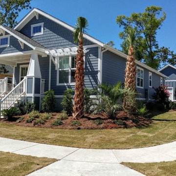 Colors of The Cottages: Sunny Seagull
