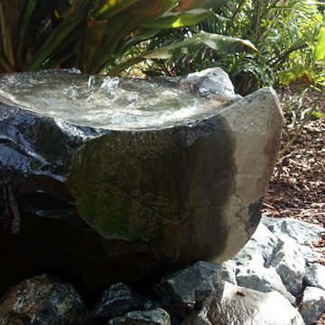 Tropical lawn replacement