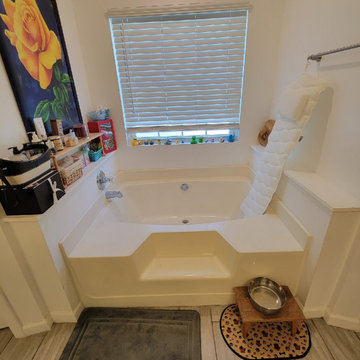 Replacement Bathtubs BEFORE