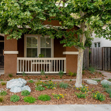 Composed in Stone and Bloom – A Front Garden Redefined