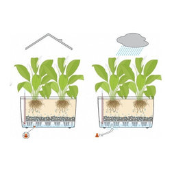 Cararo Premium 75  Lechuza - Indoor Pots And Planters