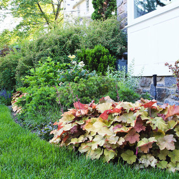 Side Yard and Foundation Borders
