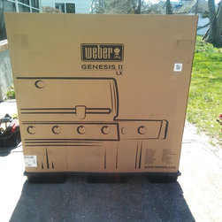 BBQ Grill Assembly - Outdoor Grills