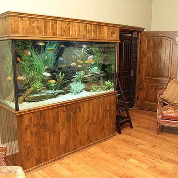 Our Work