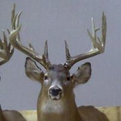 Russ Grimes's photo