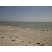 Michael Weller's photo