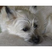 Pam Chitek's photo