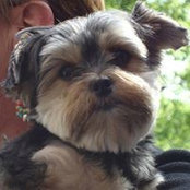Sharon Peppers's photo