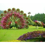 Gabika Garten's photo