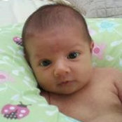 Frank Schneidt's photo