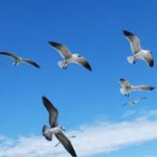 Sandy Hubbard's photo