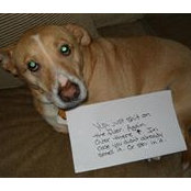 Rebecca Heiler's photo