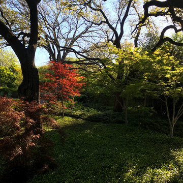 Fort Worth Estate Garden
