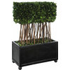 Boxwood Topiary Satin Black
