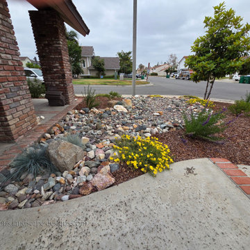 Irvine Turf Rebate Front Yard