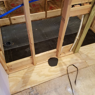 Bathroom Shower Remodel