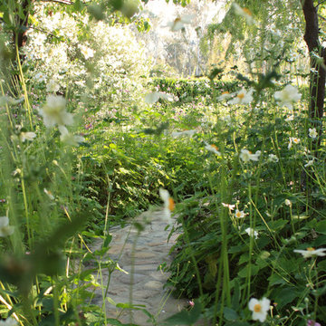 Woodland Pathway to Pool