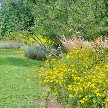 Native Meadow