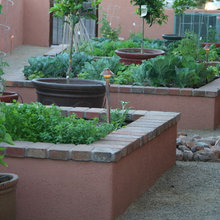 Outside Plants