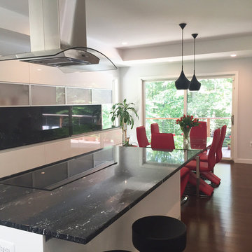 Annapolis Residence Renovation