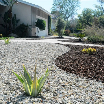 Cacti in the garden