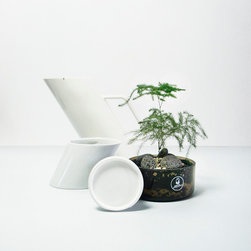 Terrarium in shapes - Terrariums