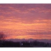 Mark Ware's photo