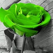Marlene East's photo