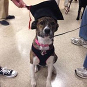 Beth Israel's photo
