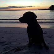 Kerri Hampton's photo
